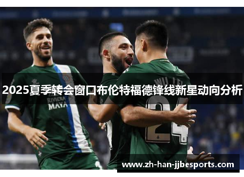 2025夏季转会窗口布伦特福德锋线新星动向分析
