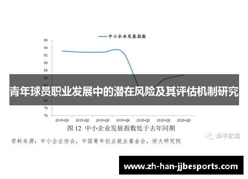 青年球员职业发展中的潜在风险及其评估机制研究